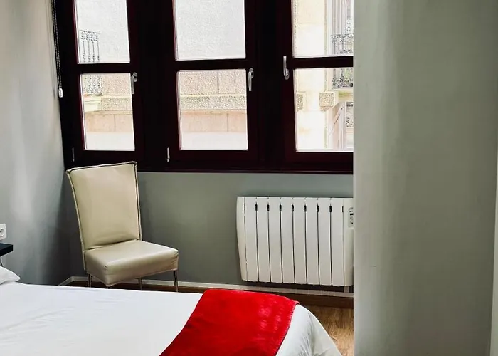 Casco Vello Oliva 8 *