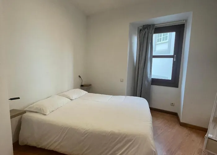 Casco Vello Oliva 8 *